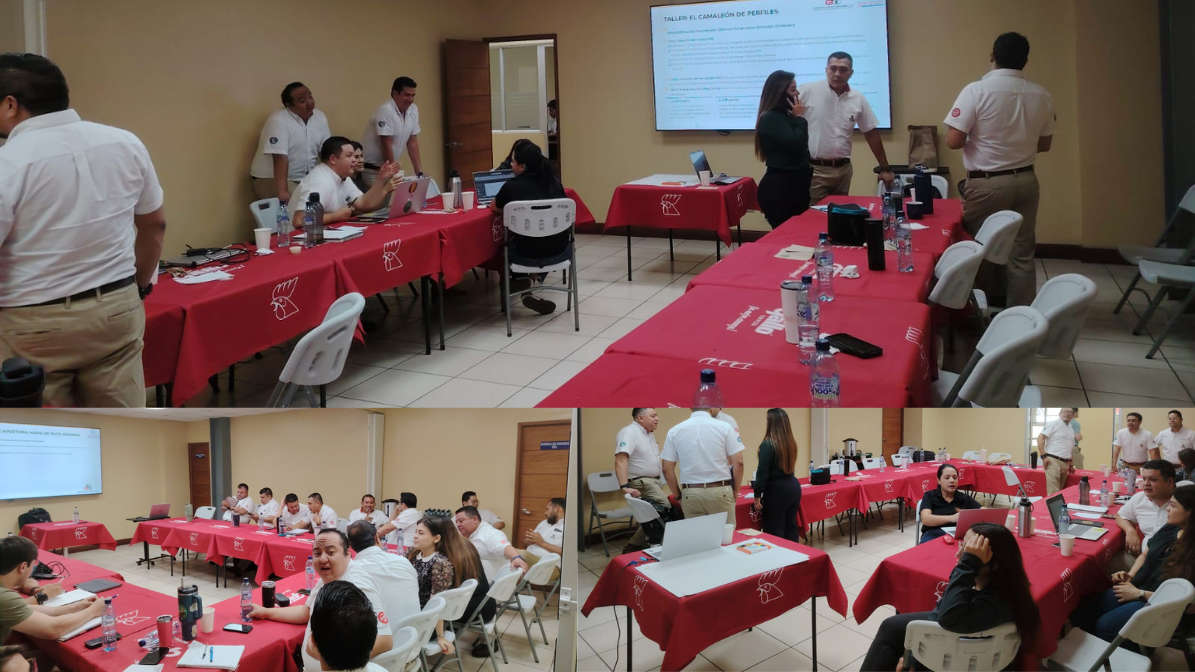Sondeo y Diagnostico